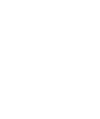 King Lion Group